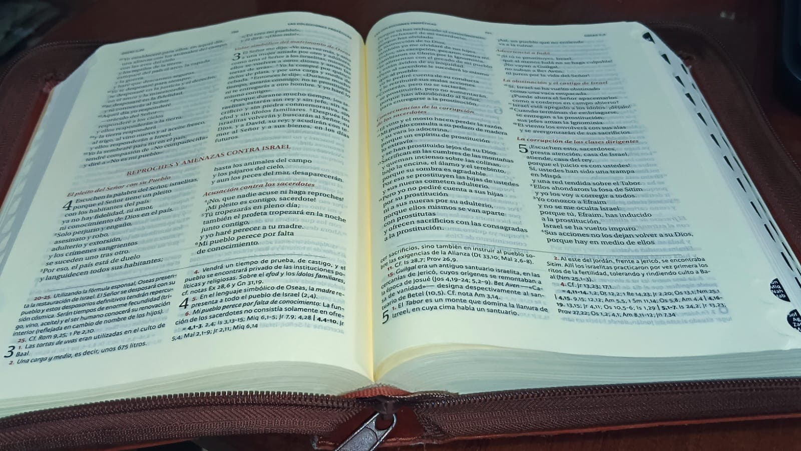 Diplomado Bíblico Pastoral en Antiguo Testamento. Inicio 6 de mayo.